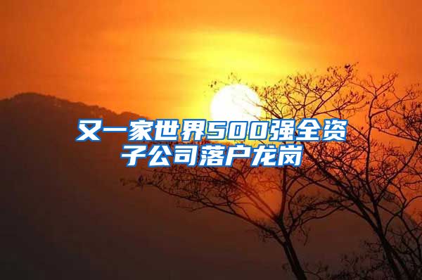 又一家世界500强全资子公司落户龙岗