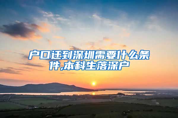 户口迁到深圳需要什么条件,本科生落深户