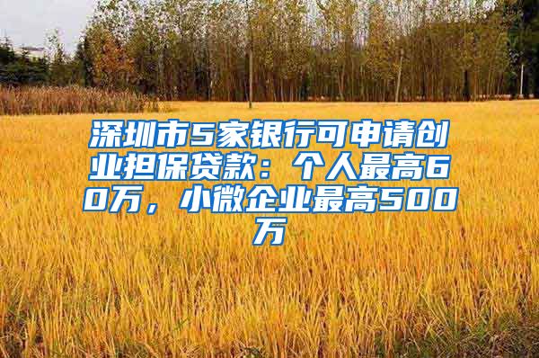 深圳市5家银行可申请创业担保贷款：个人最高60万，小微企业最高500万