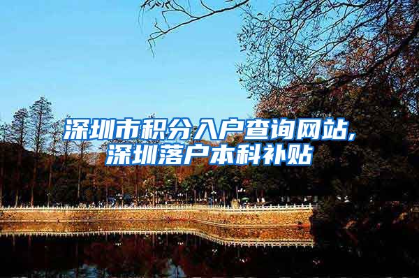 深圳市积分入户查询网站,深圳落户本科补贴