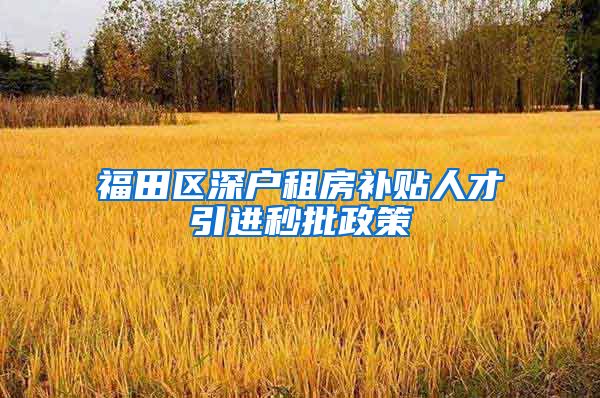 福田区深户租房补贴人才引进秒批政策