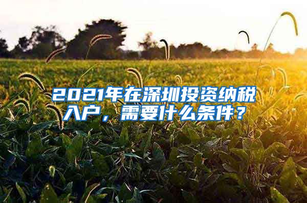 2021年在深圳投资纳税入户，需要什么条件？