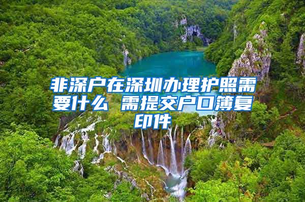 非深户在深圳办理护照需要什么 需提交户口簿复印件