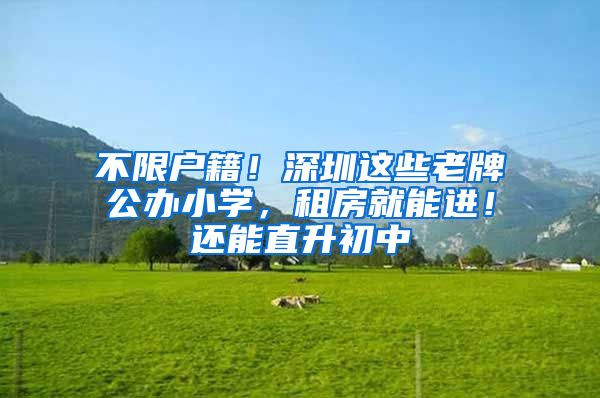 不限户籍！深圳这些老牌公办小学，租房就能进！还能直升初中