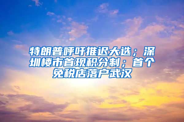 特朗普呼吁推迟大选；深圳楼市首现积分制；首个免税店落户武汉