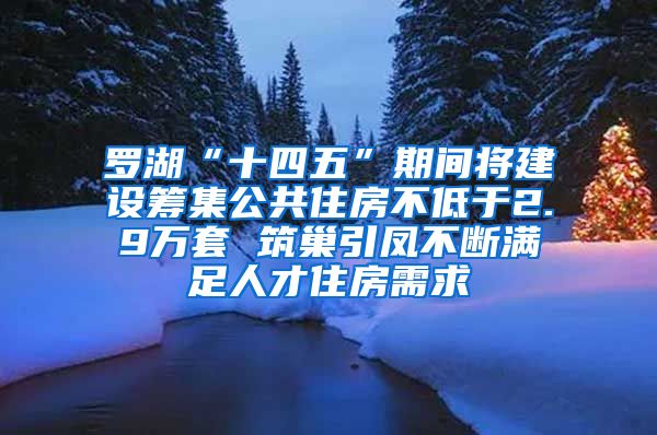 罗湖“十四五”期间将建设筹集公共住房不低于2.9万套 筑巢引凤不断满足人才住房需求