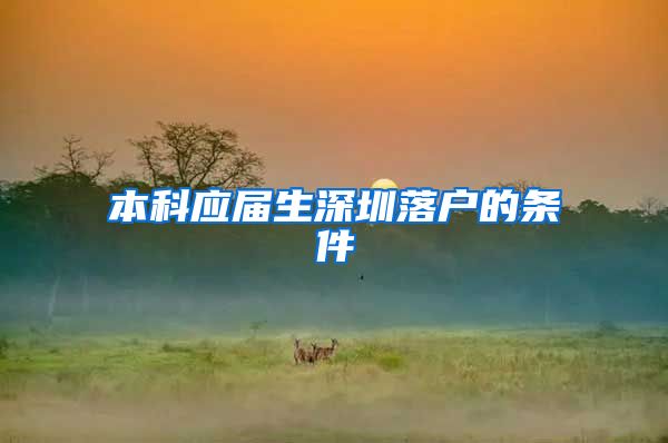 本科应届生深圳落户的条件