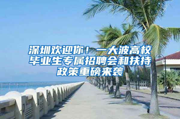 深圳欢迎你！一大波高校毕业生专属招聘会和扶持政策重磅来袭