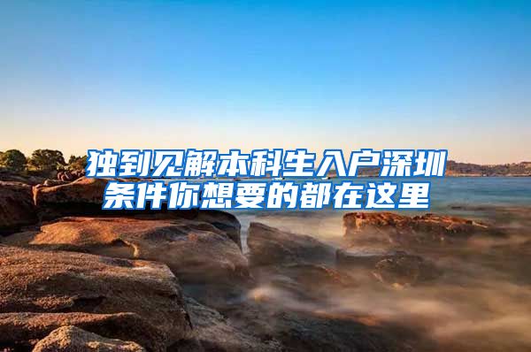 独到见解本科生入户深圳条件你想要的都在这里