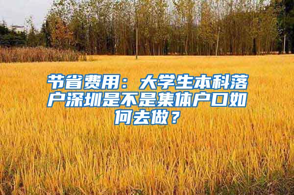 节省费用：大学生本科落户深圳是不是集体户口如何去做？