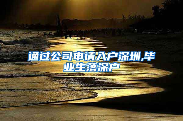 通过公司申请入户深圳,毕业生落深户