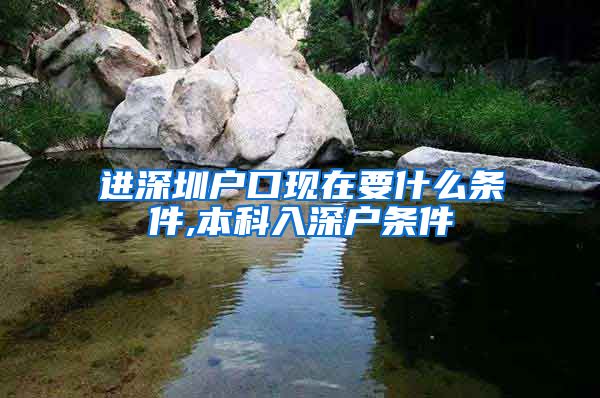 进深圳户口现在要什么条件,本科入深户条件
