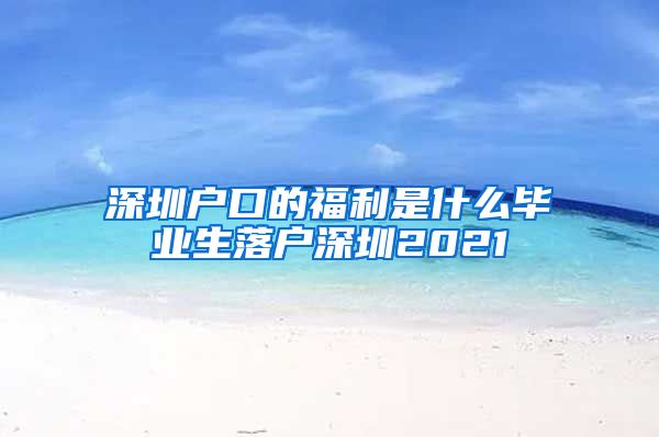 深圳户口的福利是什么毕业生落户深圳2021