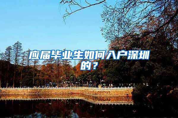 应届毕业生如何入户深圳的？