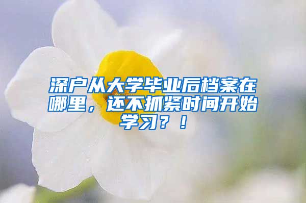 深户从大学毕业后档案在哪里，还不抓紧时间开始学习？！
