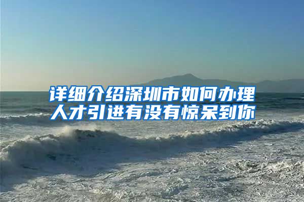 详细介绍深圳市如何办理人才引进有没有惊呆到你