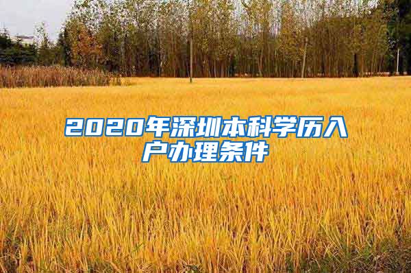 2020年深圳本科学历入户办理条件