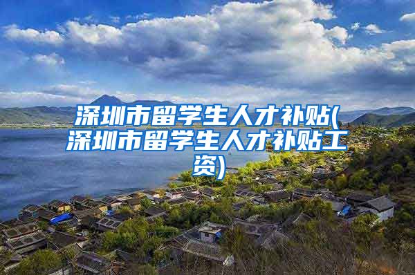 深圳市留学生人才补贴(深圳市留学生人才补贴工资)
