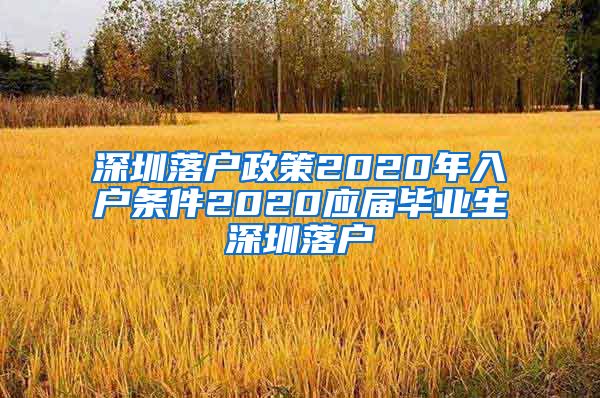 深圳落户政策2020年入户条件2020应届毕业生深圳落户