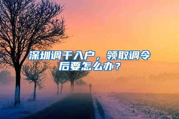 深圳调干入户，领取调令后要怎么办？