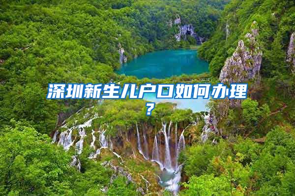 深圳新生儿户口如何办理？