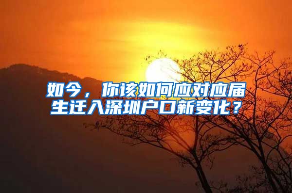 如今，你该如何应对应届生迁入深圳户口新变化？
