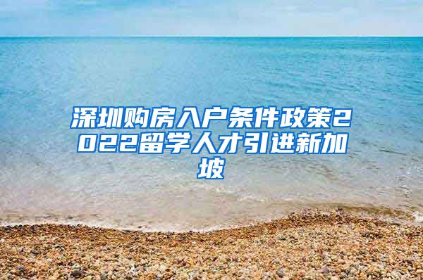 深圳购房入户条件政策2022留学人才引进新加坡
