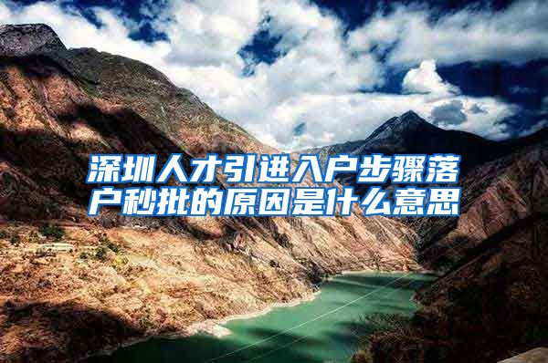 深圳人才引进入户步骤落户秒批的原因是什么意思