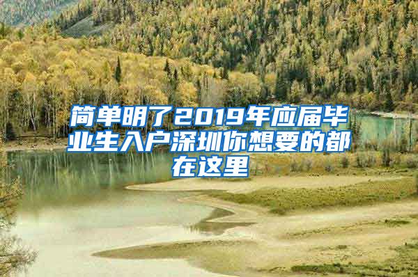简单明了2019年应届毕业生入户深圳你想要的都在这里