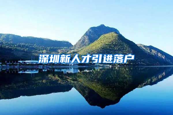 深圳新人才引进落户