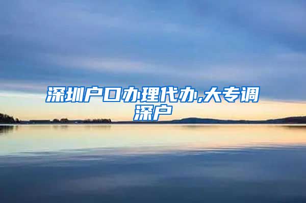 深圳户口办理代办,大专调深户