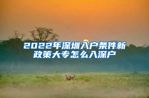 2022年深圳入户条件新政策大专怎么入深户