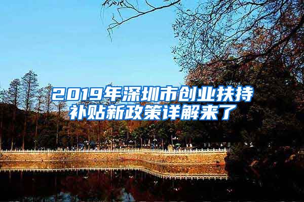 2019年深圳市创业扶持补贴新政策详解来了