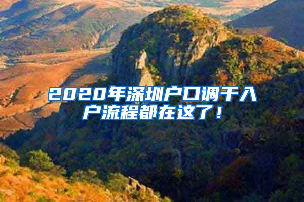 2020年深圳户口调干入户流程都在这了！