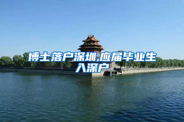 博士落户深圳,应届毕业生入深户