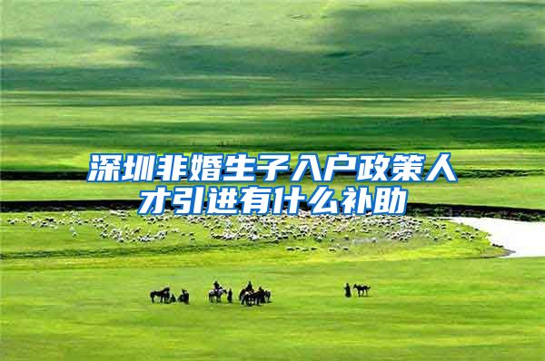 深圳非婚生子入户政策人才引进有什么补助