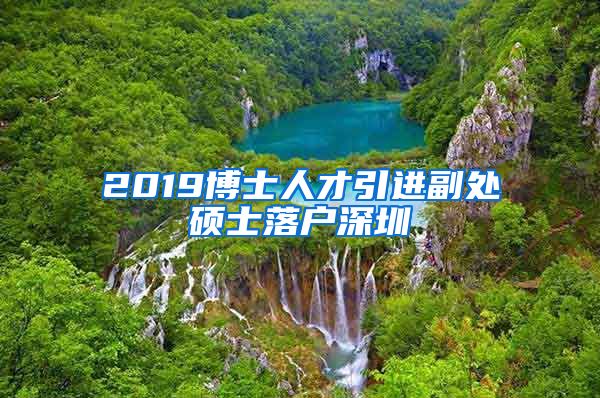 2019博士人才引进副处硕士落户深圳