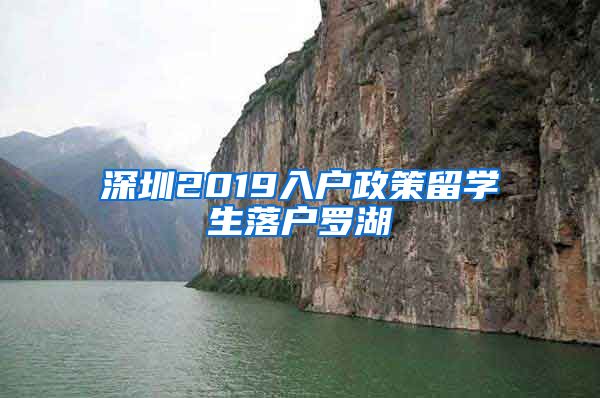 深圳2019入户政策留学生落户罗湖