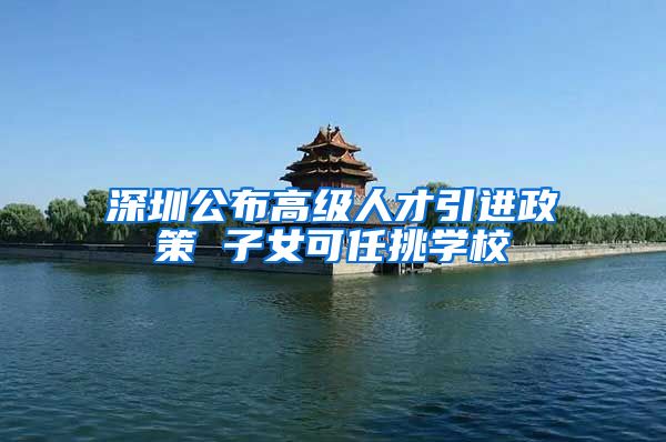 深圳公布高级人才引进政策 子女可任挑学校