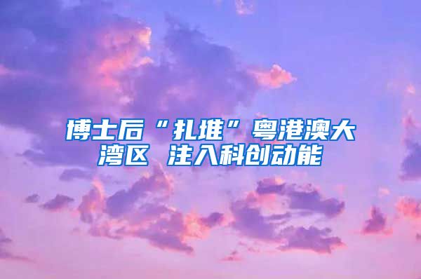 博士后“扎堆”粤港澳大湾区 注入科创动能