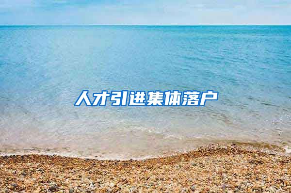 人才引进集体落户