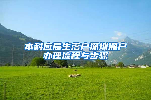 本科应届生落户深圳深户办理流程与步骤