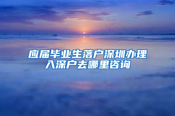 应届毕业生落户深圳办理入深户去哪里咨询