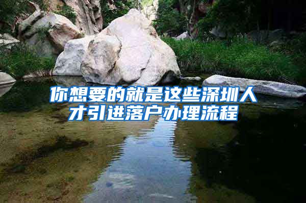 你想要的就是这些深圳人才引进落户办理流程