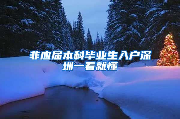 非应届本科毕业生入户深圳一看就懂