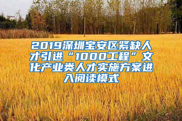 2019深圳宝安区紧缺人才引进“1000工程”文化产业类人才实施方案进入阅读模式