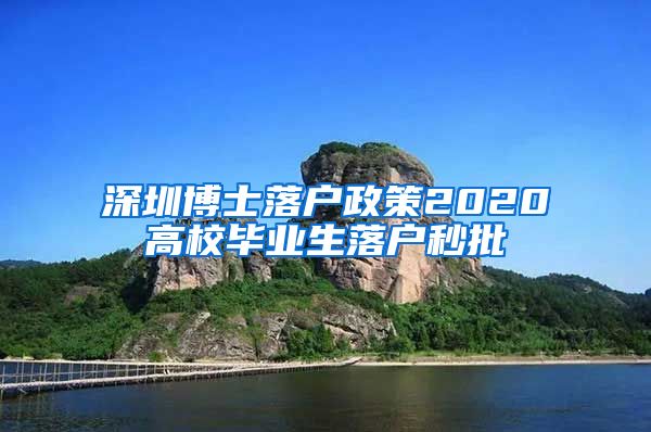深圳博士落户政策2020高校毕业生落户秒批