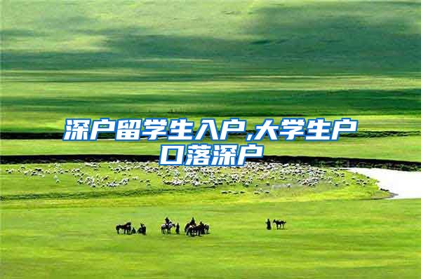 深户留学生入户,大学生户口落深户