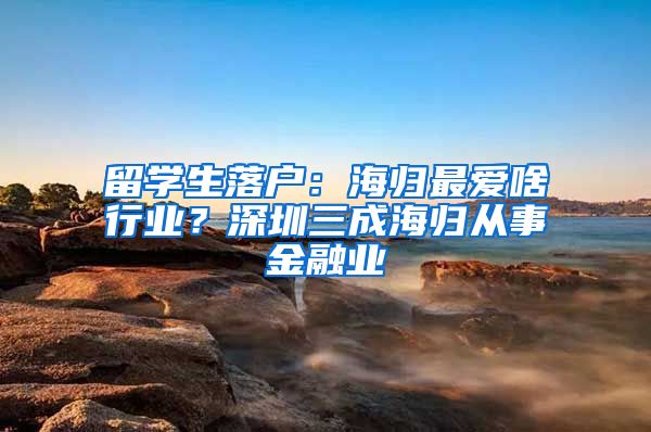 留学生落户：海归最爱啥行业？深圳三成海归从事金融业