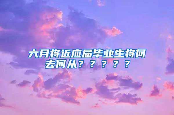 六月将近应届毕业生将何去何从？？？？？